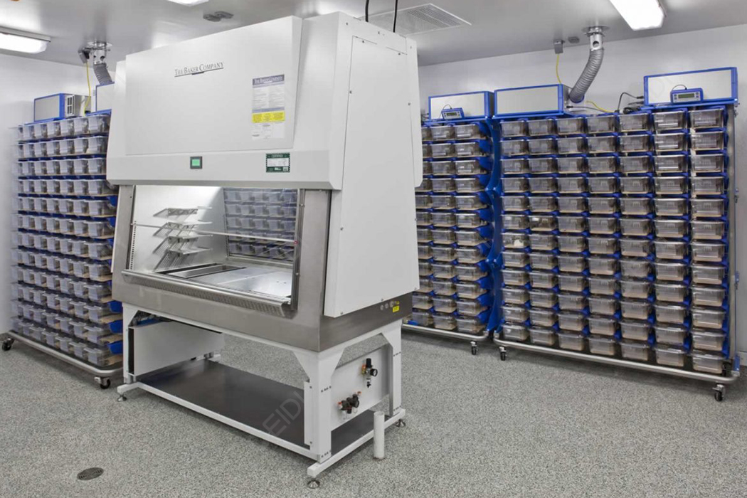 國家衛(wèi)健委：中國已有63個從事人間傳染病原微生物實驗室活動P3、P4實驗室