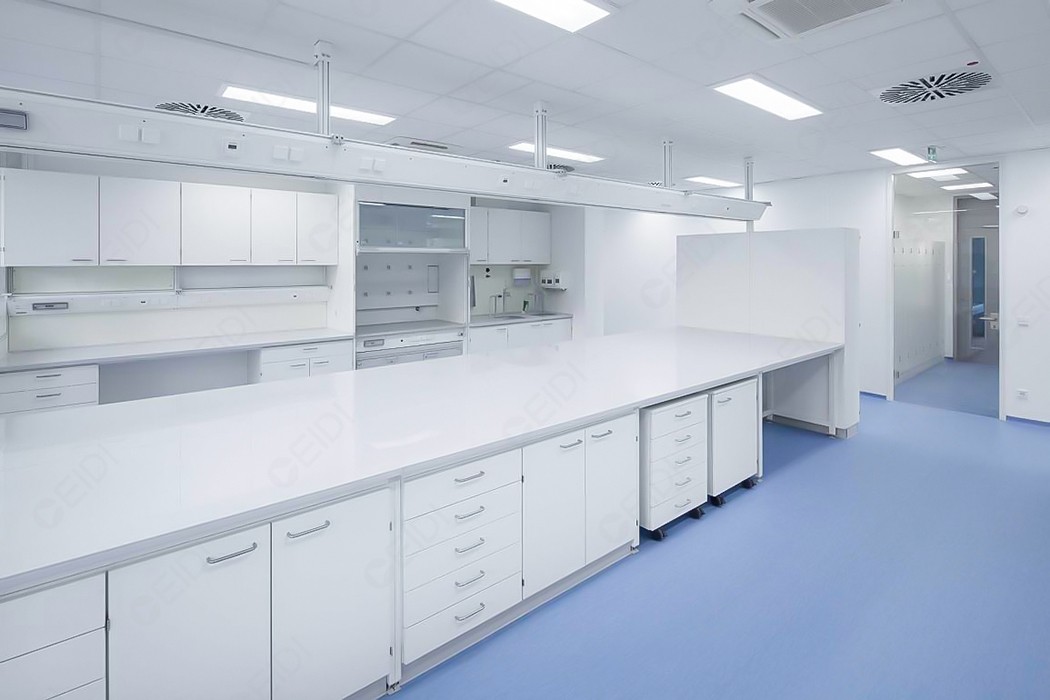 國家藥監(jiān)局關(guān)于發(fā)布支持化妝品原料創(chuàng)新若干規(guī)定的公告（2025年第12號）